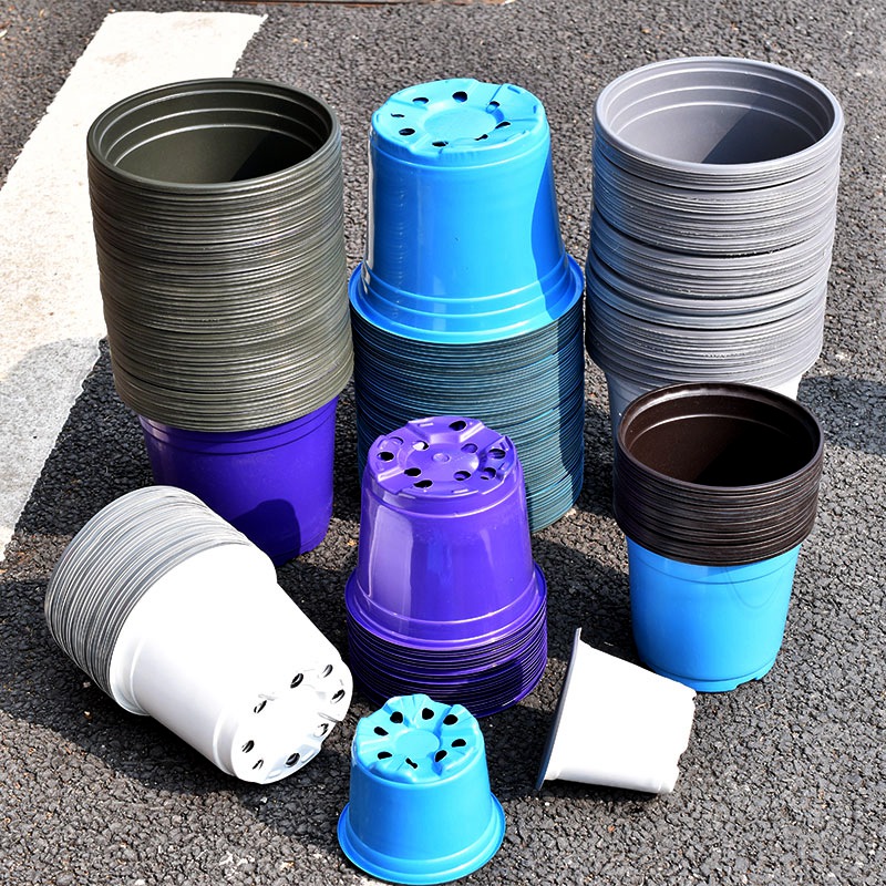 Food Storage Plants - 100Pcs Color Plastic Flowerpot Cultivation For