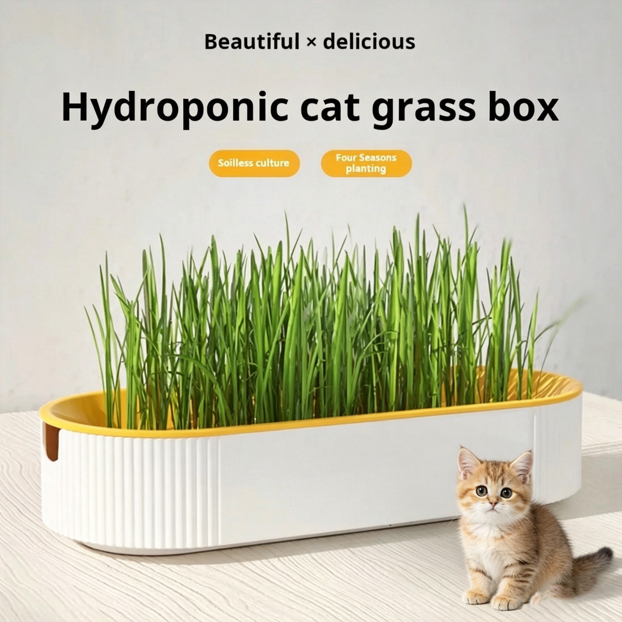 Easy Growth Hydroponic Cat Gra - Food Storage Plants avaliação e preço