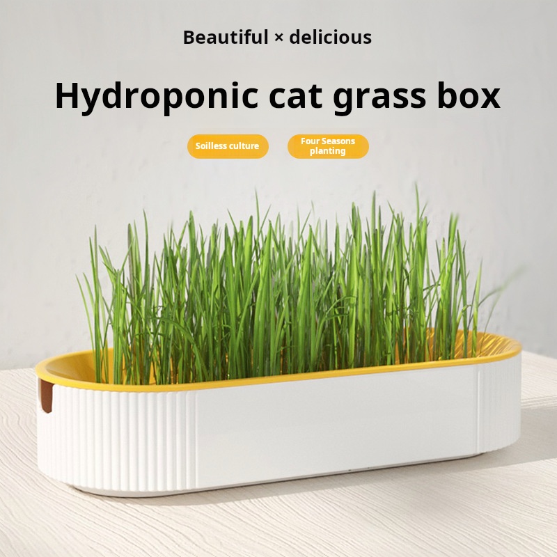 Easy Growth Hydroponic Cat Gra - Food Storage Plants avaliação e preço