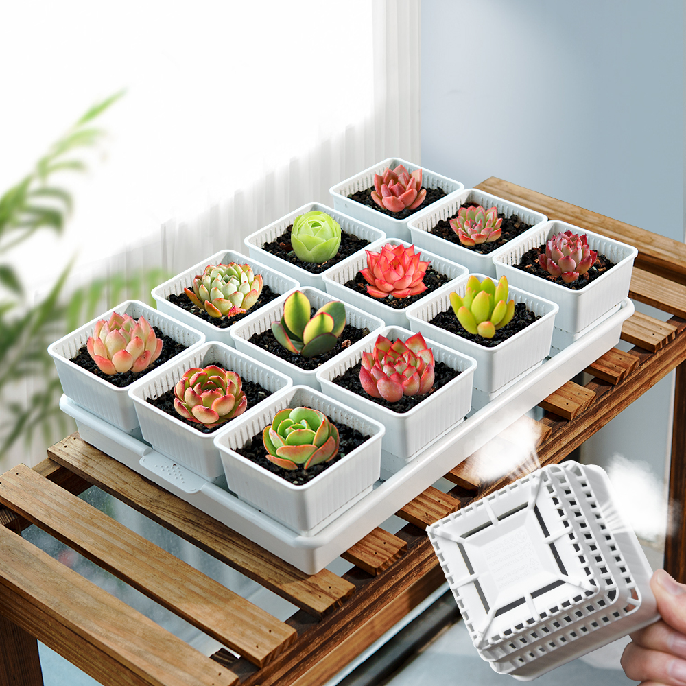 Meshpot Succulent Pot Plastic  - Food Storage Plants avaliação e preço