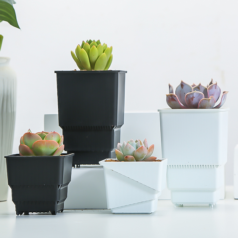 Meshpot Succulent Pot Plastic  - Food Storage Plants avaliação e preço