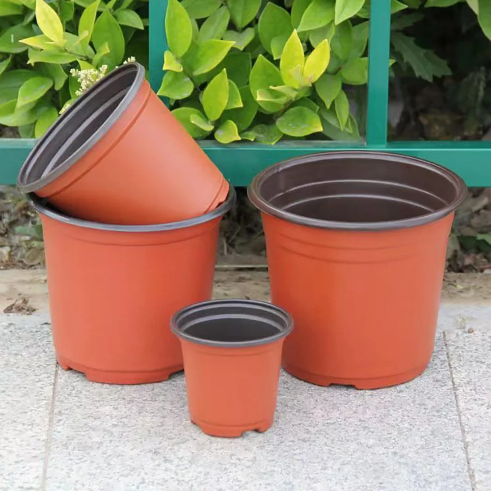 Plastic plant POTS, seedling f - Food Storage Plants avaliação e preço