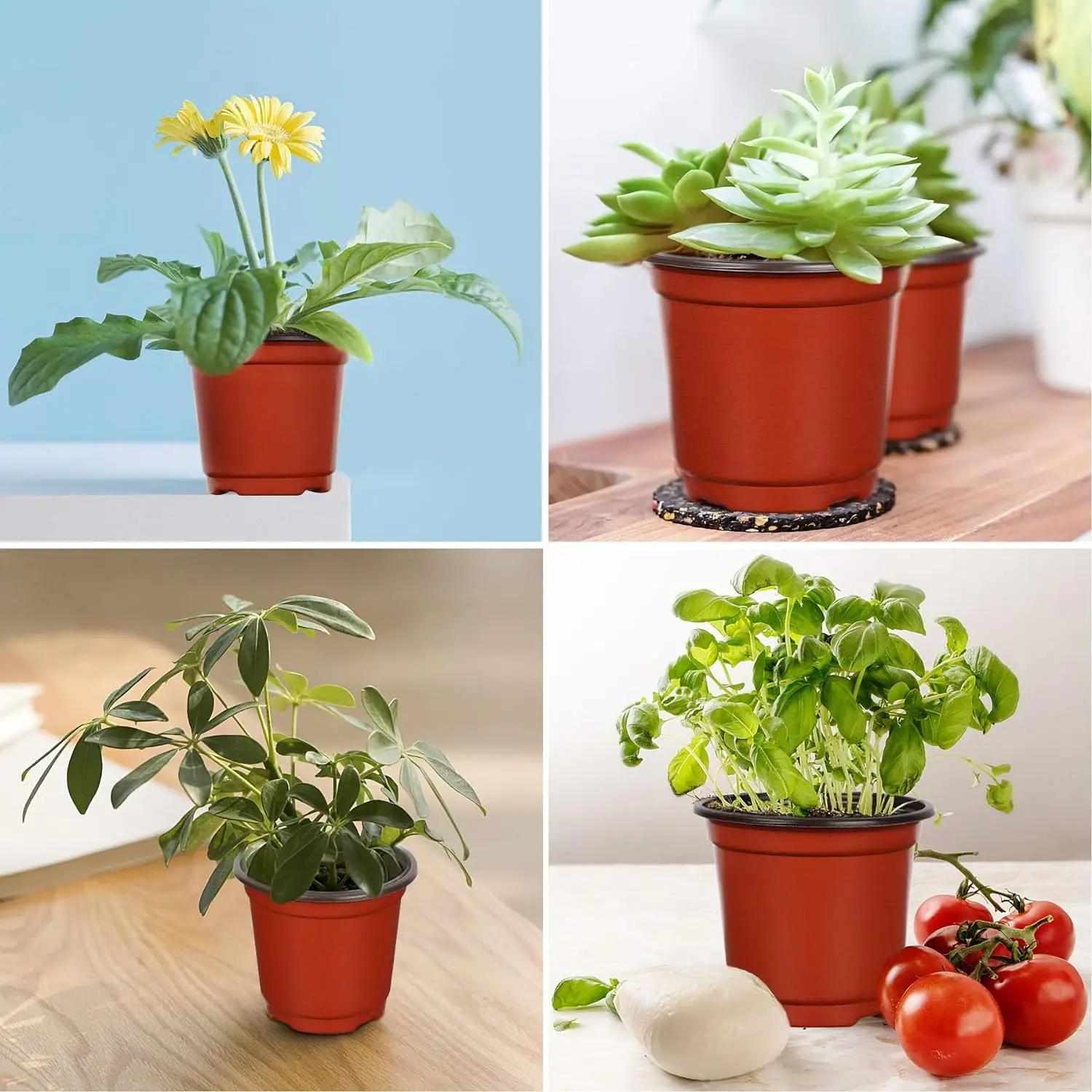 Plastic plant POTS, seedling f - Food Storage Plants avaliação e preço