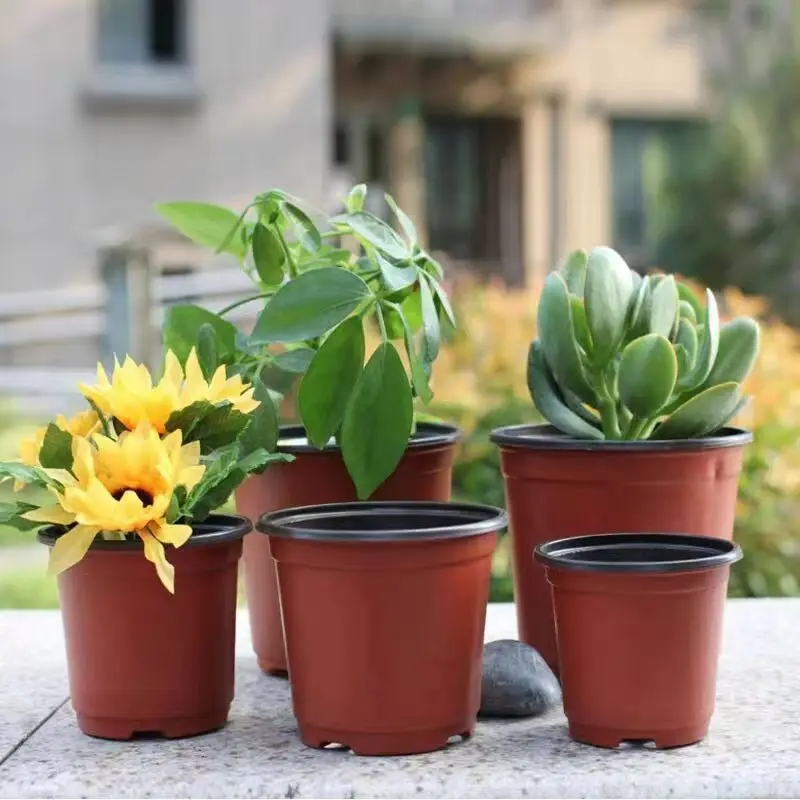 Plastic plant POTS, seedling f - Food Storage Plants avaliação e preço