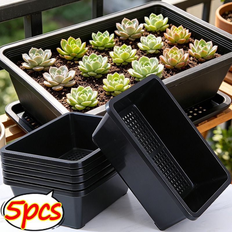 Succulent Plants Seedling Tray - Food Storage Plants avaliação e preço