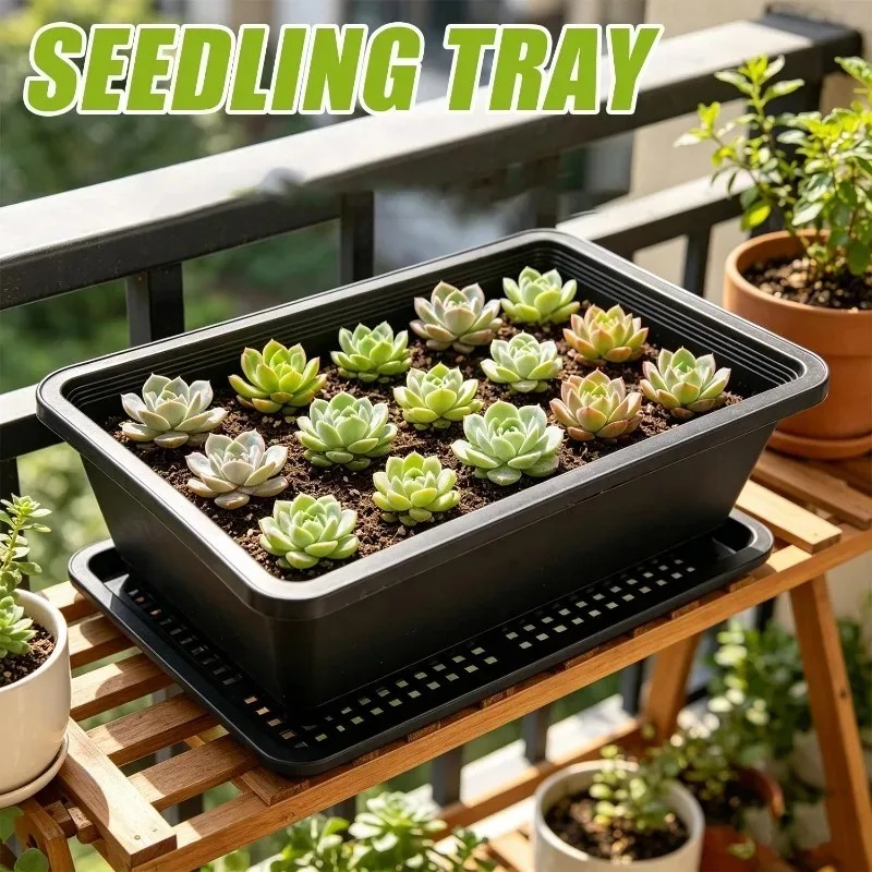 Succulent Plants Seedling Tray - Food Storage Plants avaliação e preço