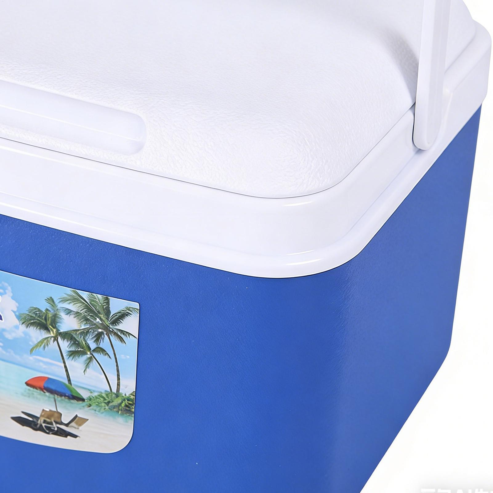 5L/8L Insulated Cooler Box Por - Food Storage Camping avaliação e preço