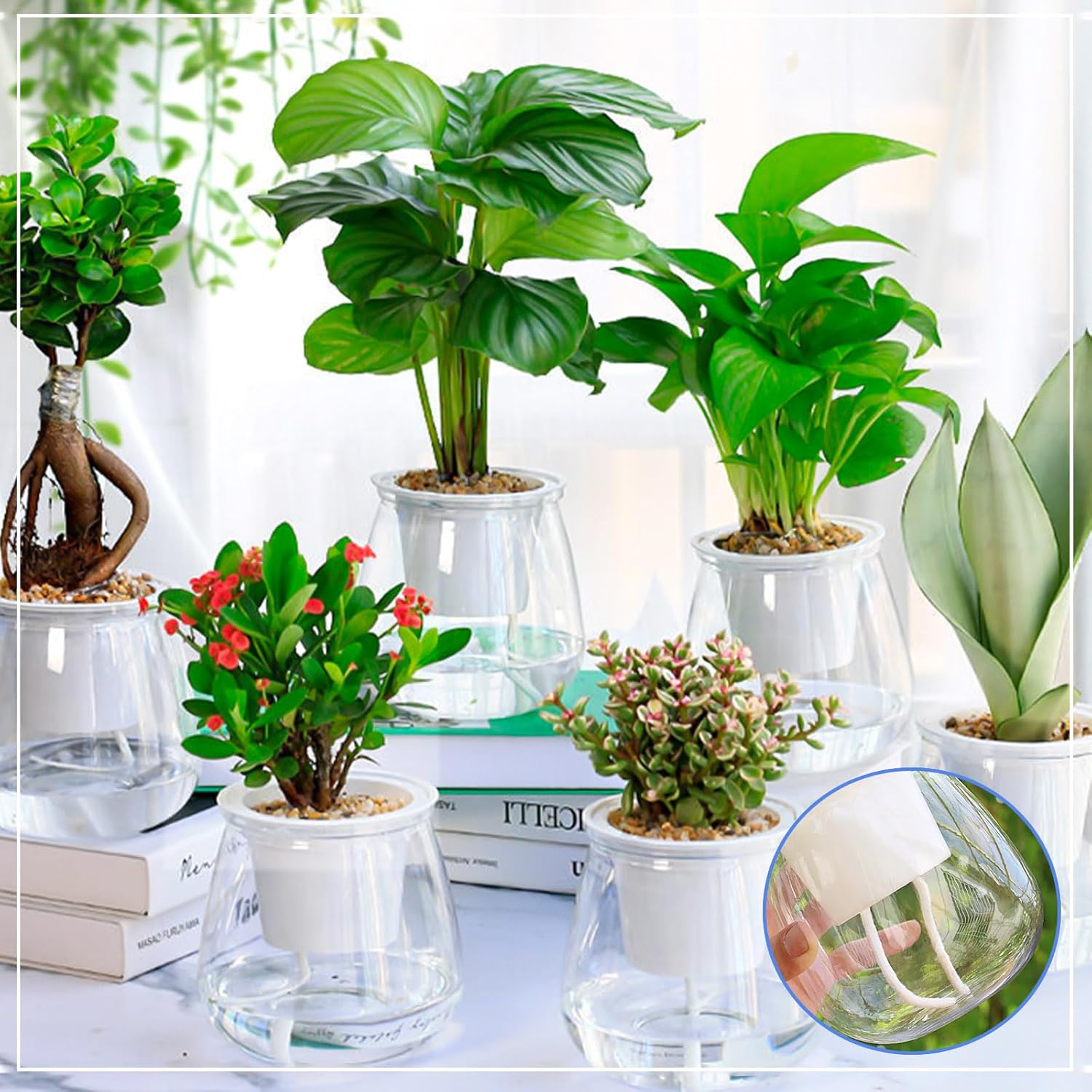 Lazy Self Watering Wick Cord C - Food Storage Plants avaliação e preço