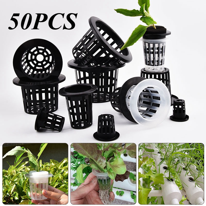 50Pcs Black White Soilless Mes - Food Storage Plants avaliação e preço