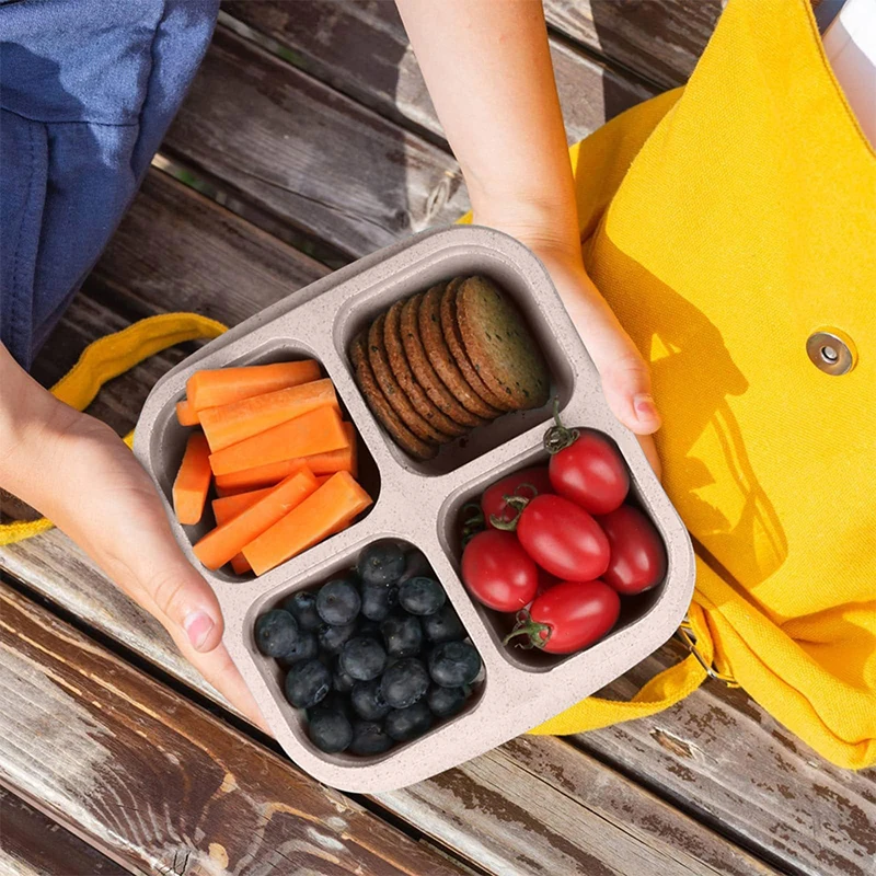 4 Grids Food Storage Box Porta - Food Storage For Refrigerator avaliação e preço