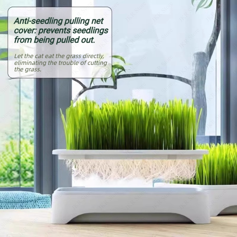 Indoor Pet Cat Grass Planter P - Food Storage Plants avaliação e preço