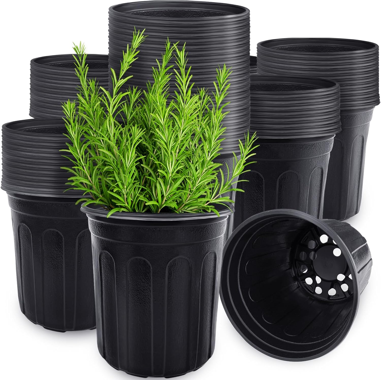 60 Pcs 1 Gallon Flexible Plant - Food Storage Plants avaliação e preço