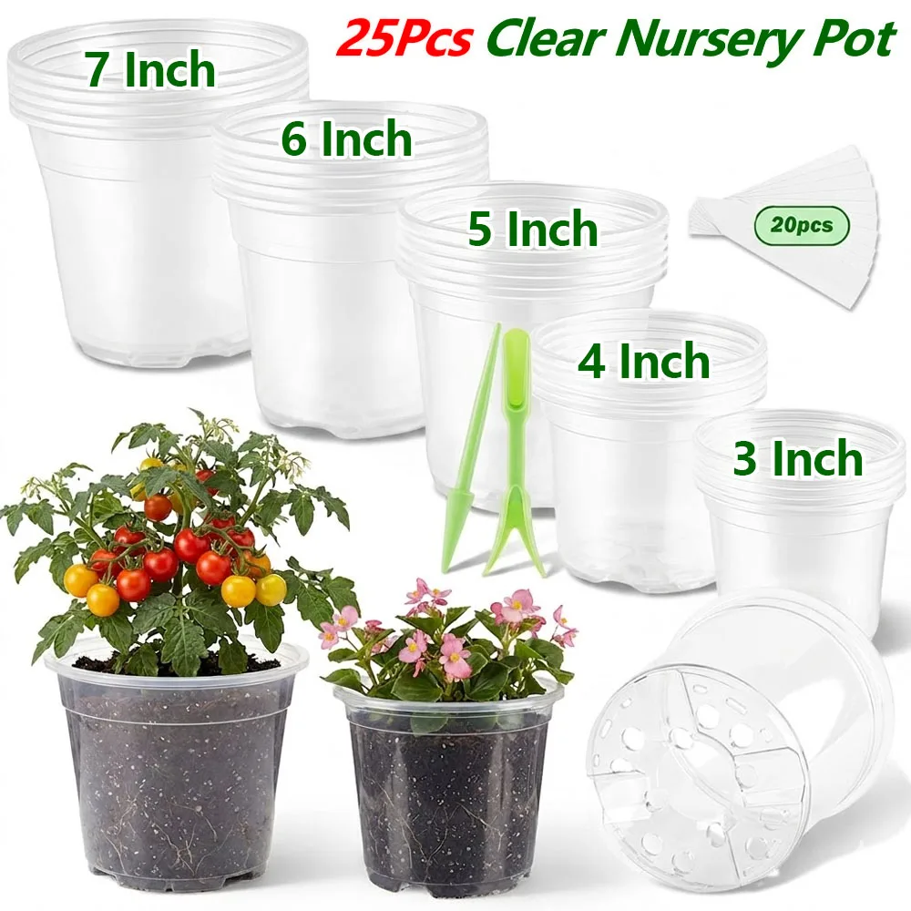 25Pcs 3/4/5/6/7 Inch Clear Nur - Food Storage Plants avaliação e preço