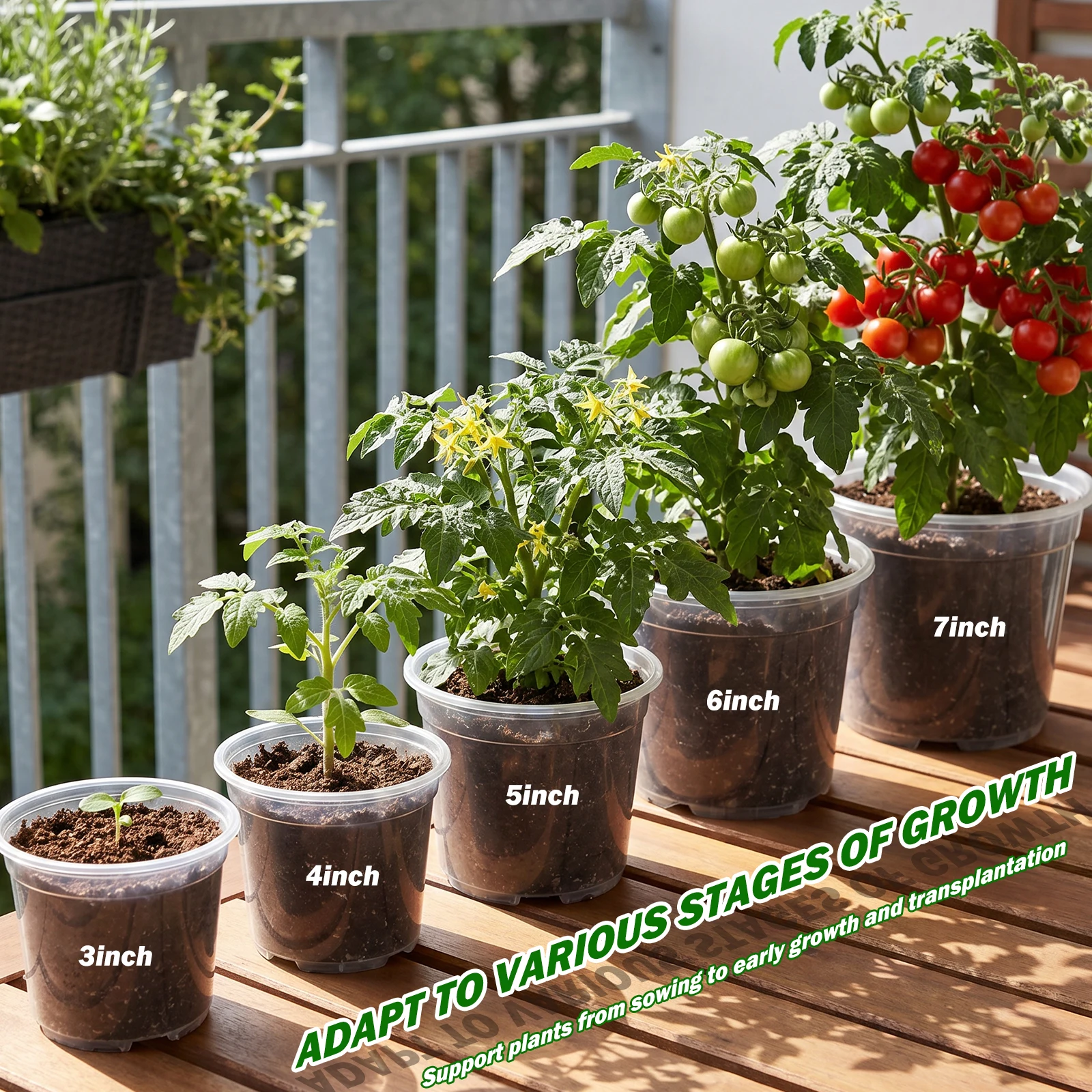 25Pcs 3/4/5/6/7 Inch Clear Nur - Food Storage Plants avaliação e preço